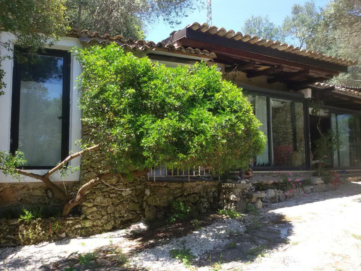 Villa Limonaia In Salento à Marittima Extérieur photo